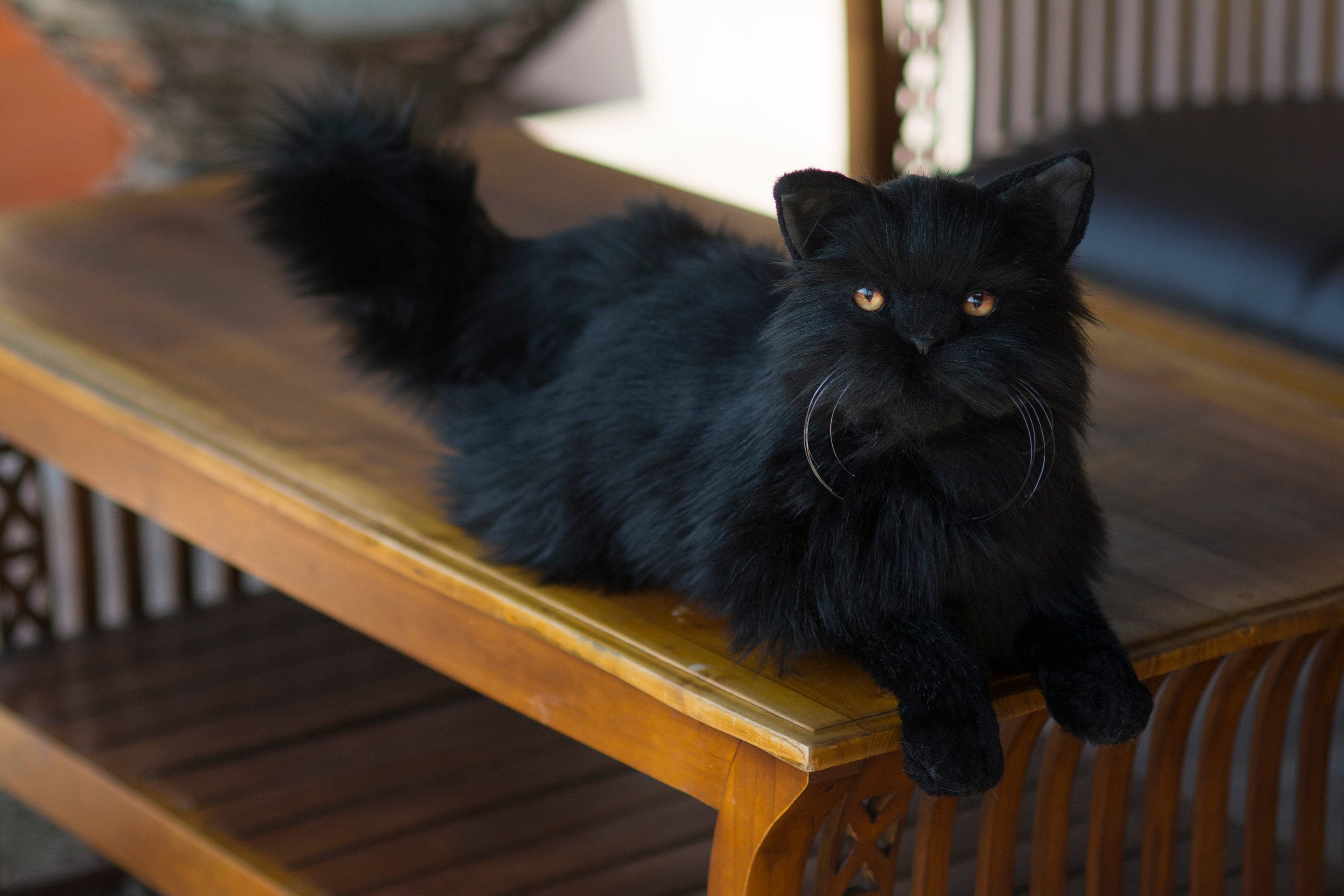Halloween Black Cat Stuffed Animal - Etsy