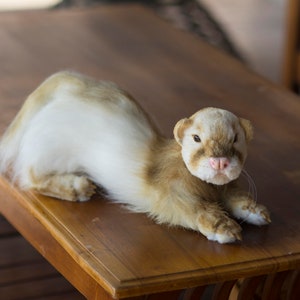 Realistic ferret plush, lifelike stuffed ferret pet replica plush, commission ferret, ferret pet for order, stuff ferret plush from photo,