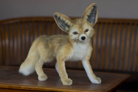 MADE TO ORDER Realistic Stuffed Fennec Fox Plush Toy Lifelike Stuff Animal Replica Soft Fox Plush Poseable Fennec Fox Hunter Gift Idea Etsy