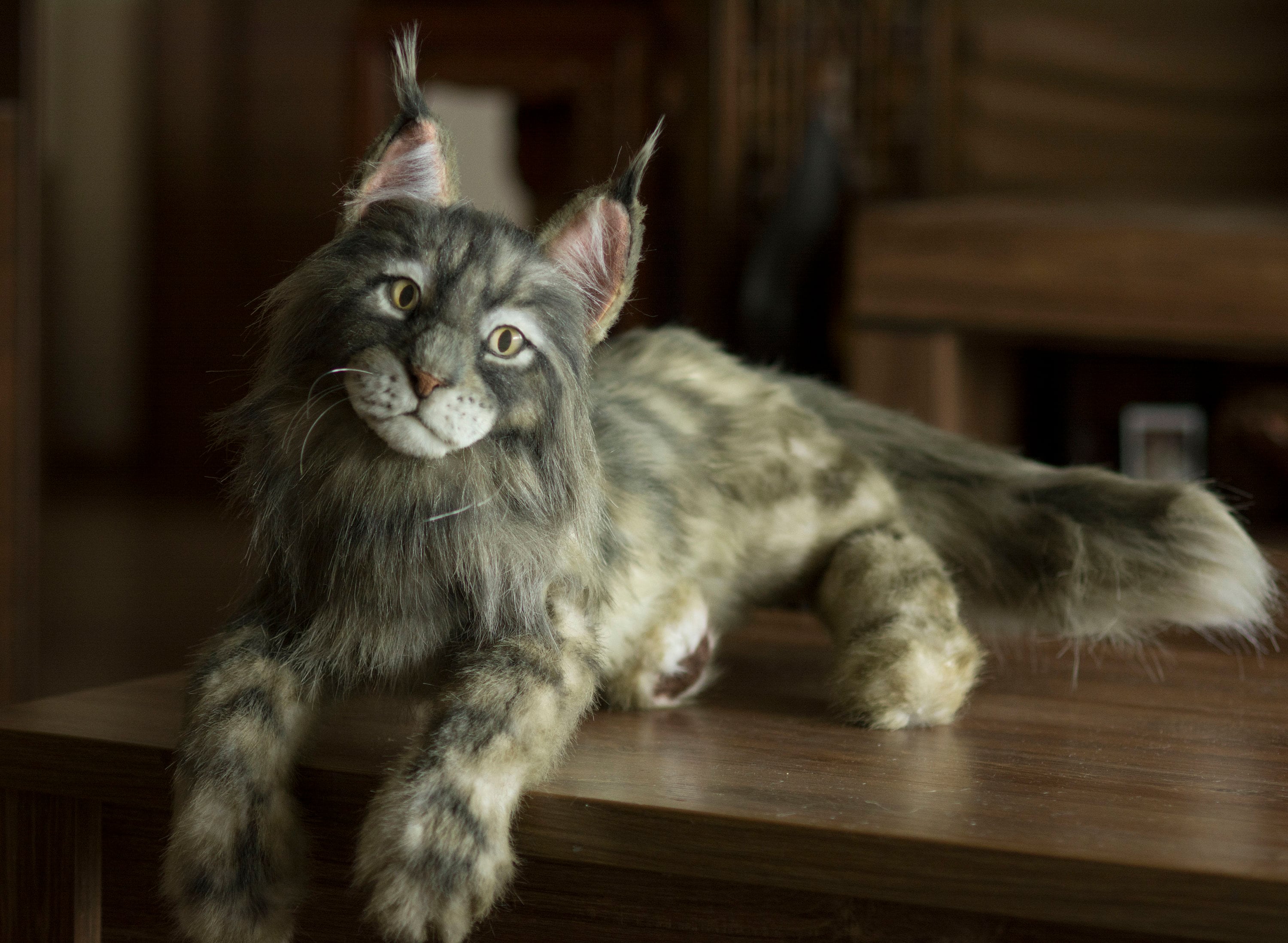 maine coon stuffed toy