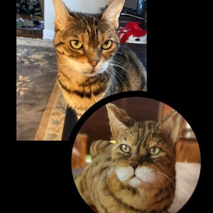 Custom Cat Plush Replica: Realistic Stuffed Animal, Cat Memorial Gift