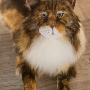 Realistic Maine Coon Cat Plush Replica, Lifelike Stuff Cat Portrait ...