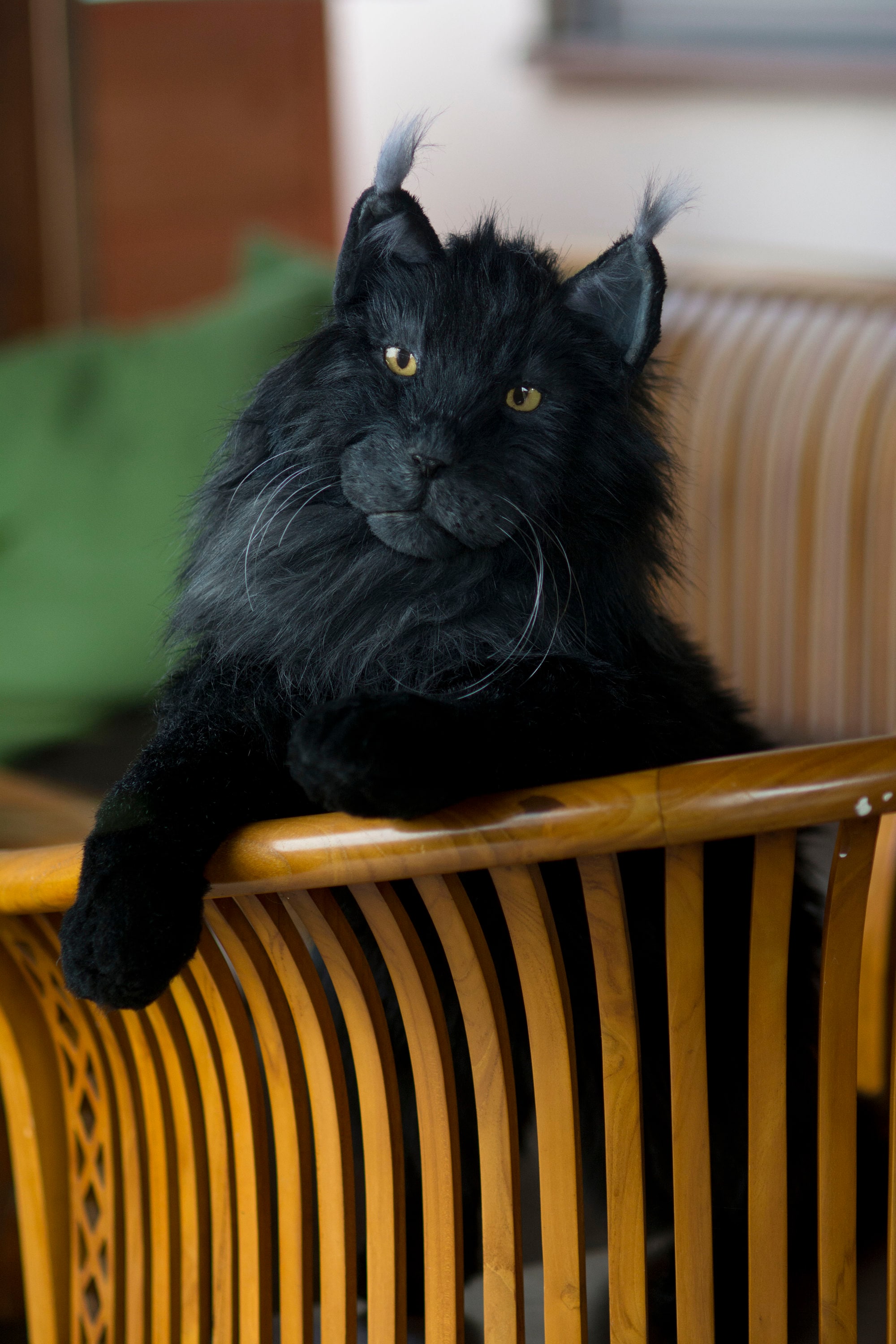 値下げ中 黒猫 ぬいぐるみ リュック メインクーン メインクーン猫ぬいぐるみバックパック - Chongkerハンドメイドリアル