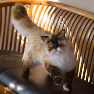 リアルなシャム猫のぬいぐるみ、リアルな猫のぬいぐるみ、本物そっくりのシャム猫のぬいぐるみの肖像画のギフト、リアルな本物の動物のぬいぐるみ