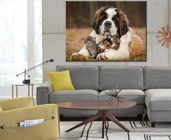 st bernard gifts