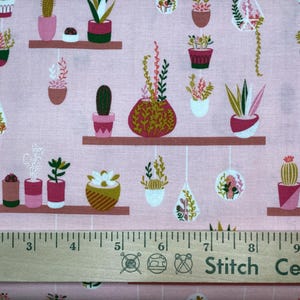 Arid Oasis Hanging Garden Pink - Succulents