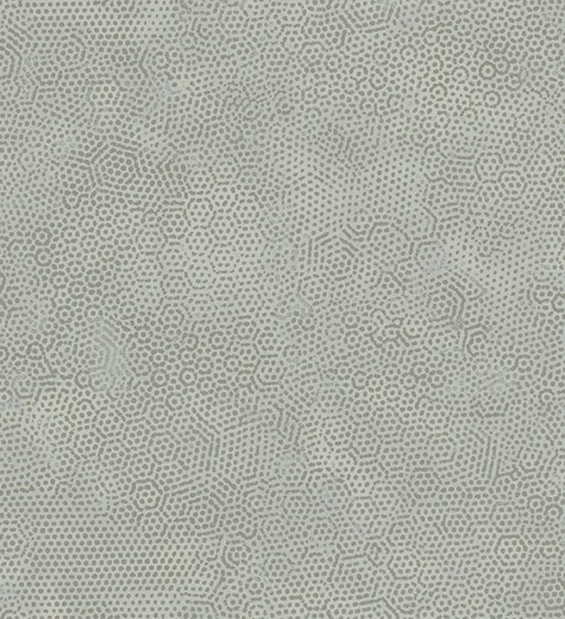 May include: A seamless pattern with a repeating design of small, light grey dots and hexagonal shapes. The pattern has a textured appearance, with variations in the density of the dots creating a subtle visual depth. The overall effect is a muted, organic aesthetic.