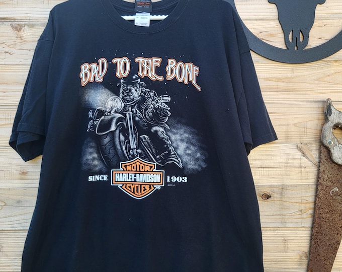 2008 Harley Davidson Kane's Calgary Biker Tee: Flaming Horse, Bad to the Bone (XL)