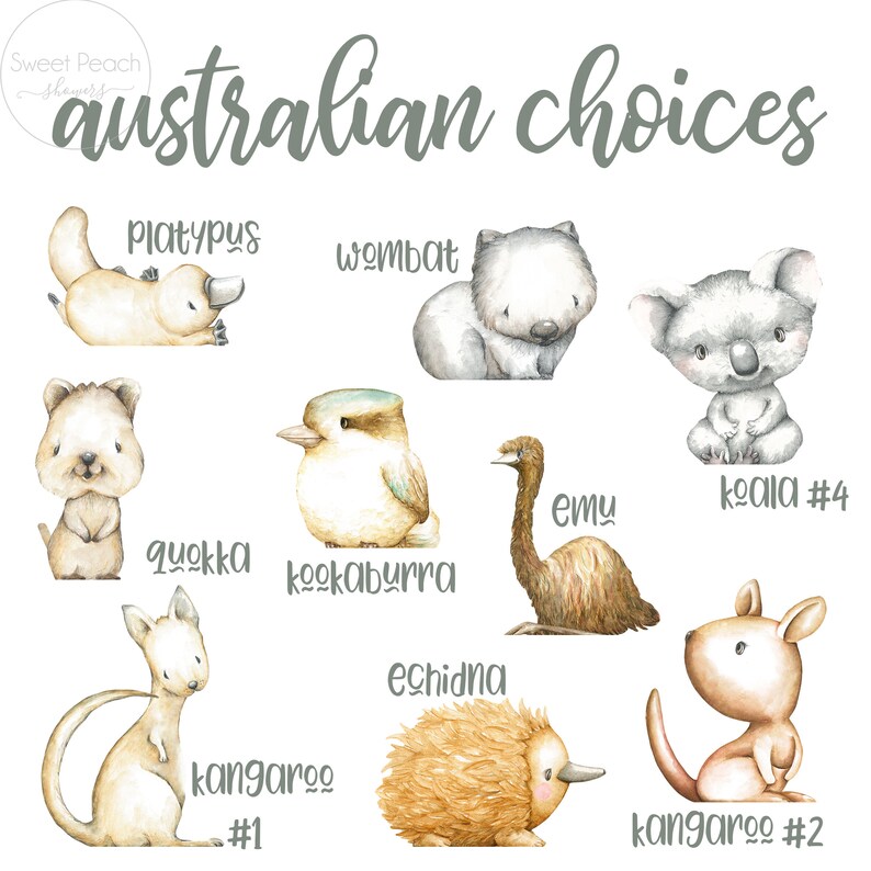 Australian Baby Shower Decor Centerpieces Nursery Koala Etsy