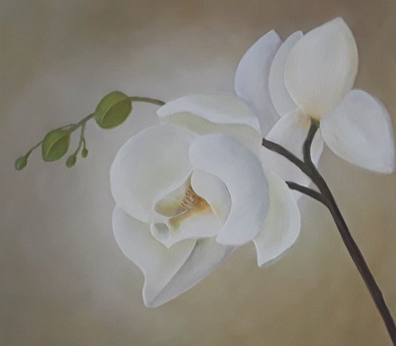 Orchid Painting 20x20 Acrylic On Wrapped Canvas White Etsy