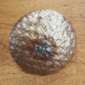 1 Piece - 3&quot; Nailhead (Clavos) Round Rustic Finish