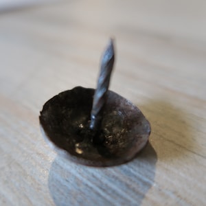 May include: A close-up of a rusty nail with a large, round head. The nail is hammered into a piece of wood.