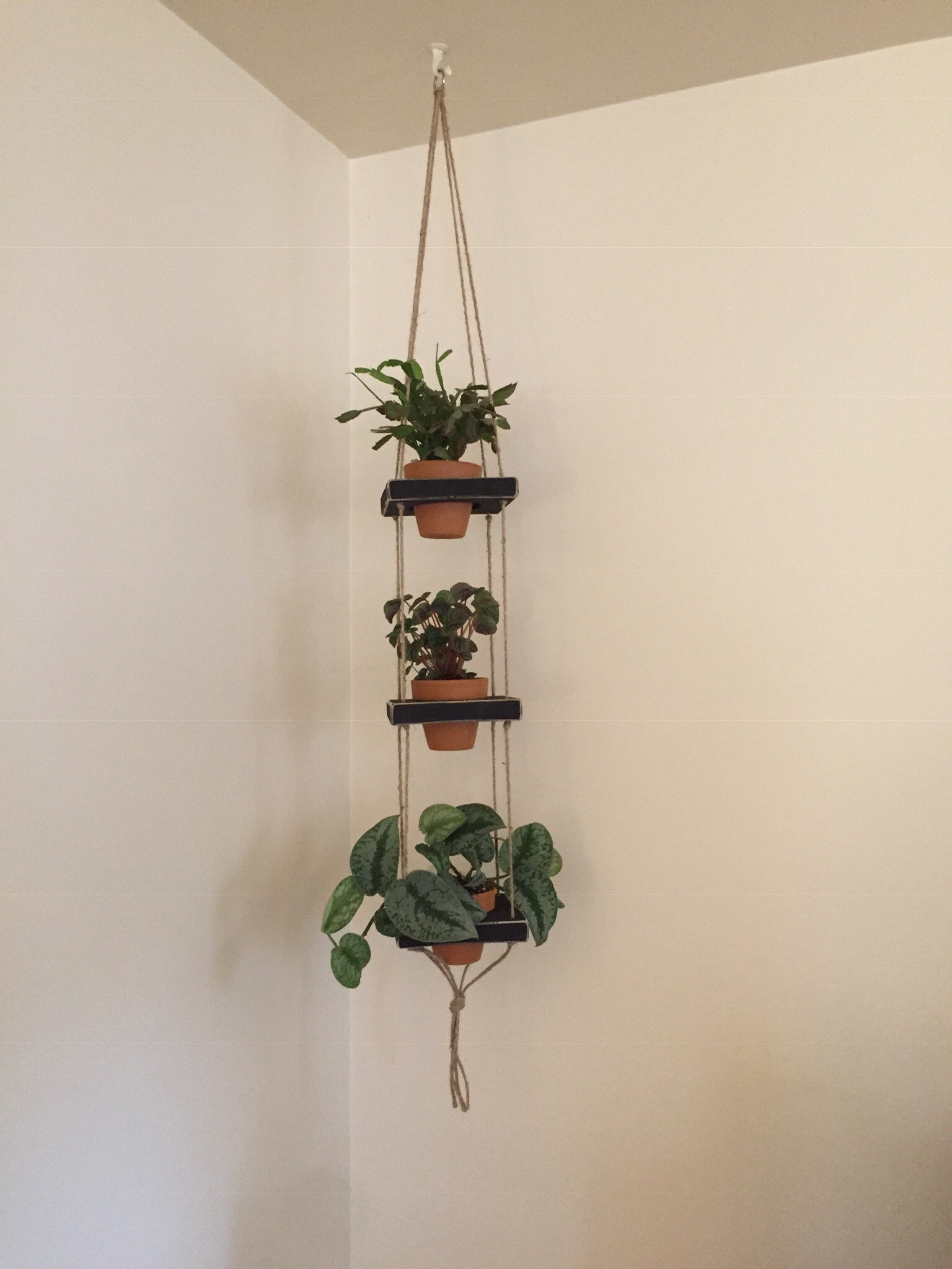 Hanging Plant Shelf, 3 Tiered Terracotta Pots, Minimalist Decor