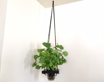 Hanging Planter Wood and Glass Urn