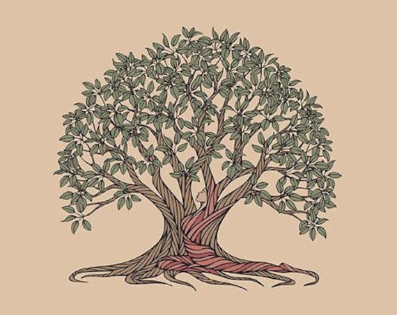 Earth Giant Tree Gift Series - Moreton Bay Fig's Gift - Book 7