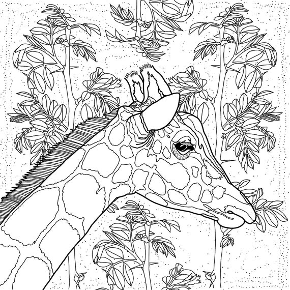 Printable Giraffe Art Illustration Coloring Page Craft | Etsy