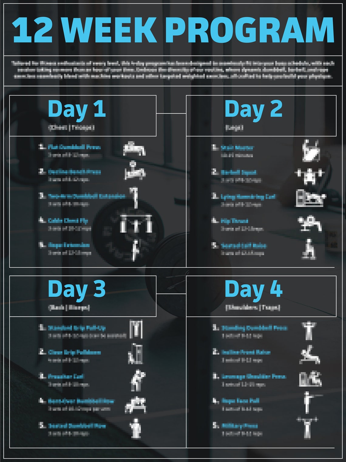 12-week-program-workout-routine-home-gym-workouts-weekly-planner