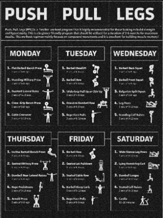 Weekly Workout Program Gym Planner Beginner Friendly Workout Plan