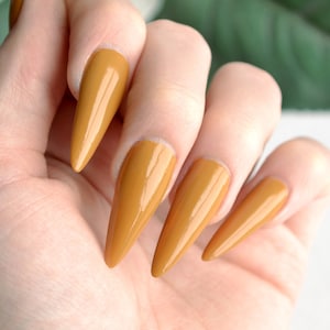 May include: Close-up of a hand with long, pointed nails painted a glossy, mustard yellow colour.