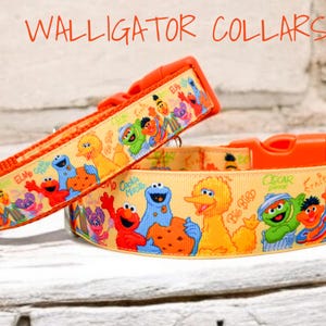 The Sunny Days collars