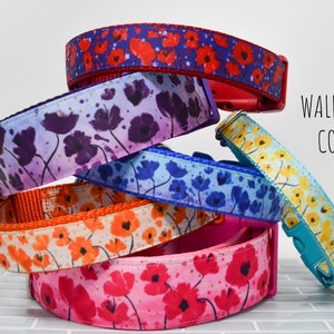 The Multi Colored Poppies Collar Collection