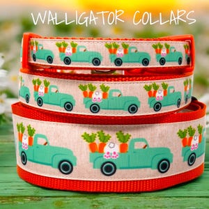 May include: Three stacked dog collars with a repeating pattern of teal trucks carrying carrots and a bunny. The collars have a red border and the text "WALLIGATOR COLLARS" is at the top.