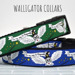 The Wizard’s Sidekick collars