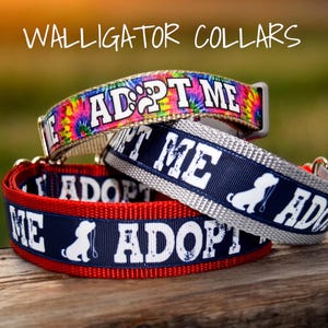 May include: Three dog collars with the text "Adopt Me" on them. The collars are in different colors and patterns, including tie-dye, blue and white, and red and blue.