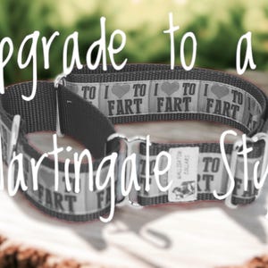 Martingale upgrade