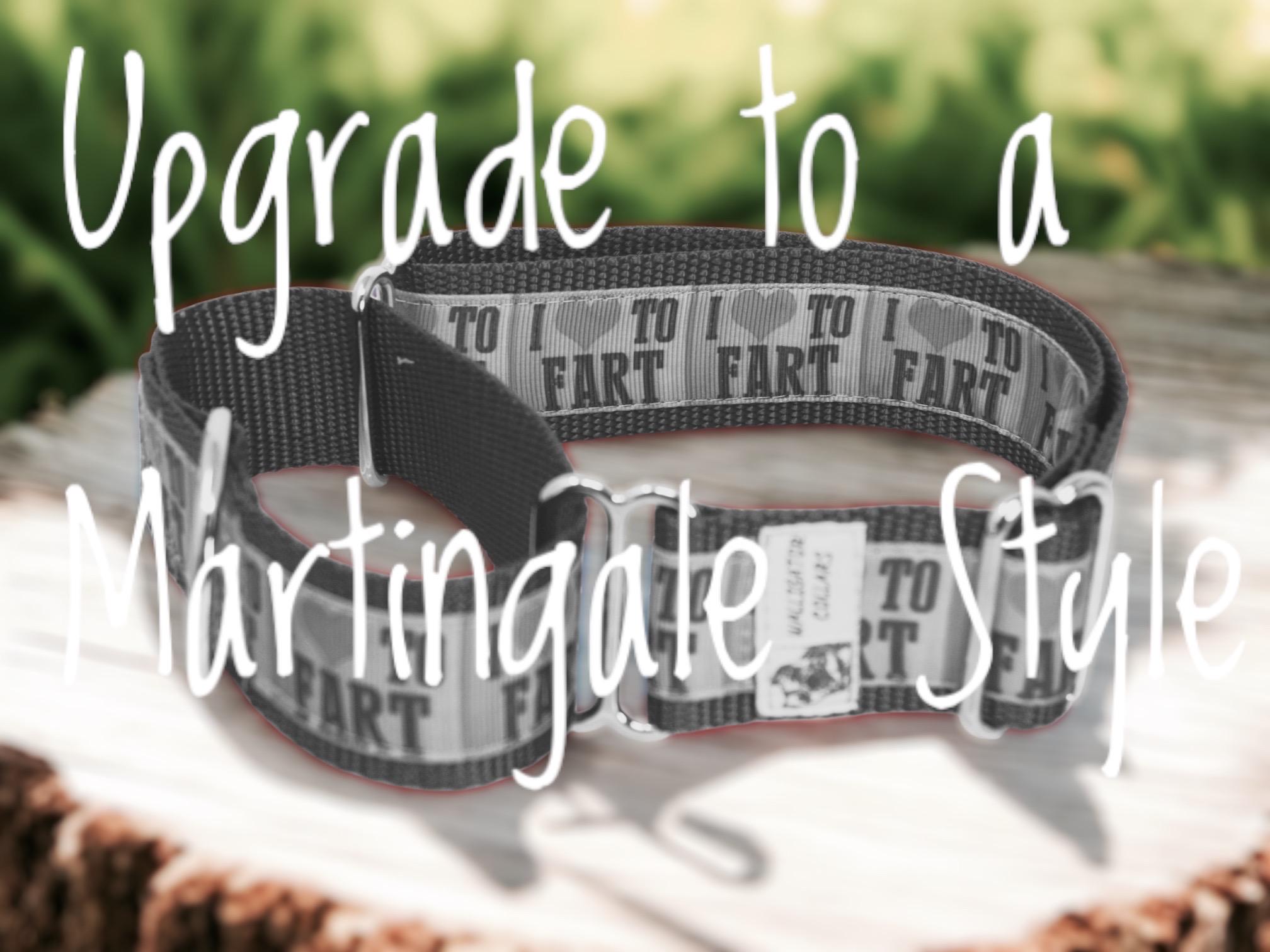 Martingale Upgrade