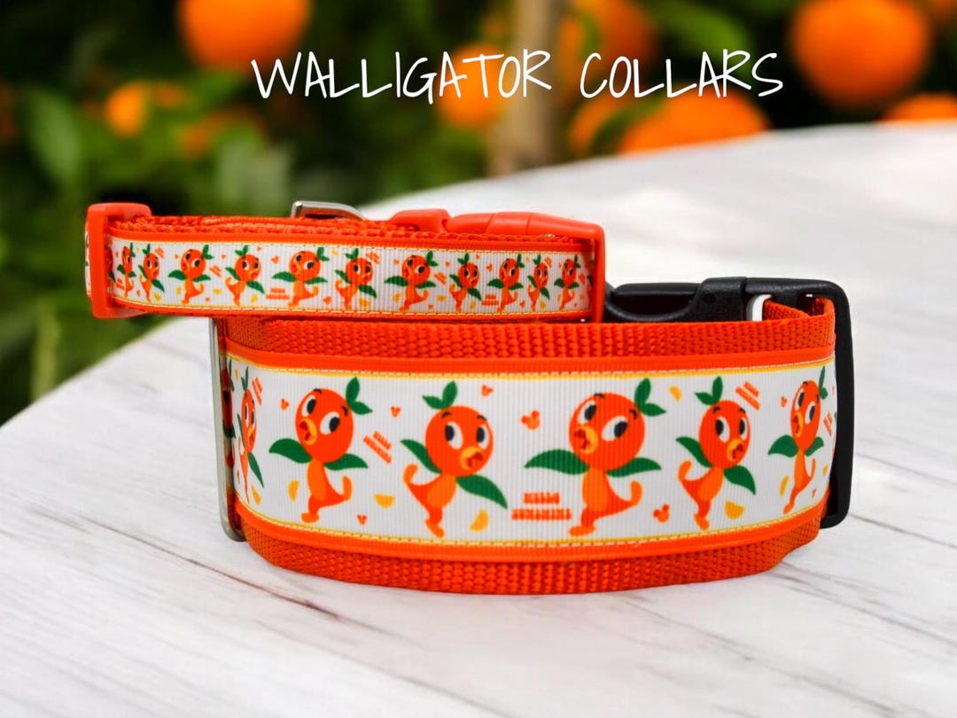The Little Orange Bird Collars