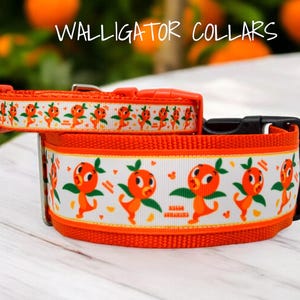 The Little Orange Bird Collars