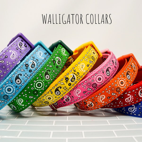 The Bandana collars collection