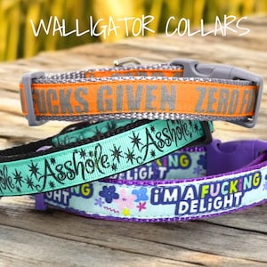 May include: Three dog collars with humorous phrases. The top collar is orange with the text "UCKS GIVEN ZERO". The middle collar is teal with the word "Asshole". The bottom collar is light blue with the text "I'M A FUCKING DELIGHT".