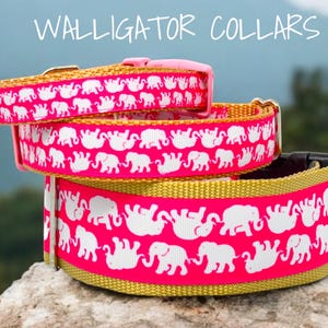 The Pink Elephant collars