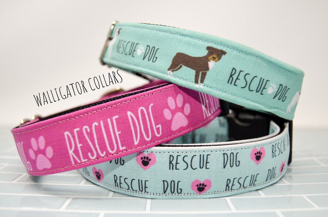 The Rescue Dog Collars Etsy
