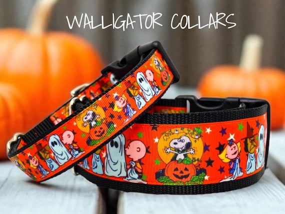 The Beagle and Gang Trick or Treating collar