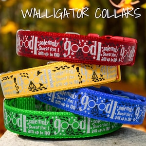 The I Solemnly Swear collars