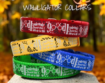 The I Solemnly Swear collars