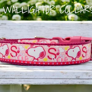 The Dreamy Pink Beagle collar