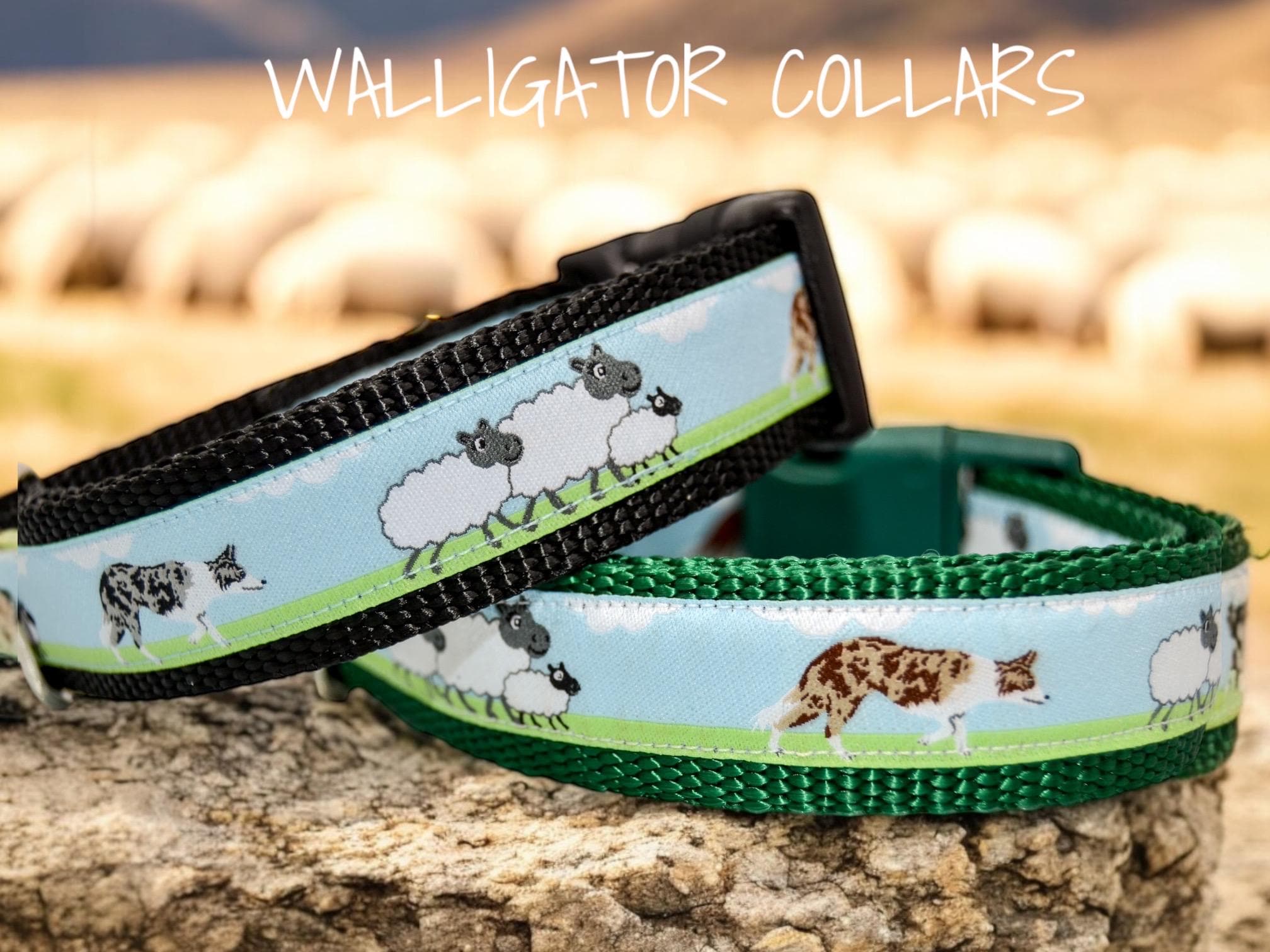 The I Herd Ewe Collars