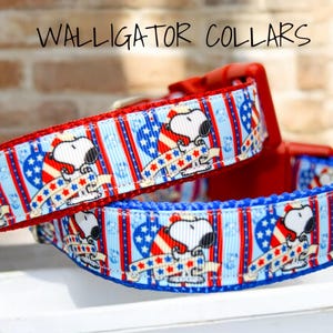 The Star Spangled Beagle collar