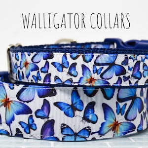 The Brilliant Blue Butterfly collars