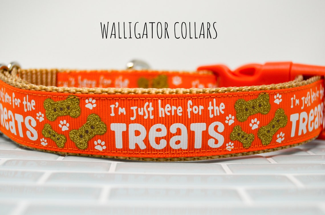 The in It for Treats Collars Etsy