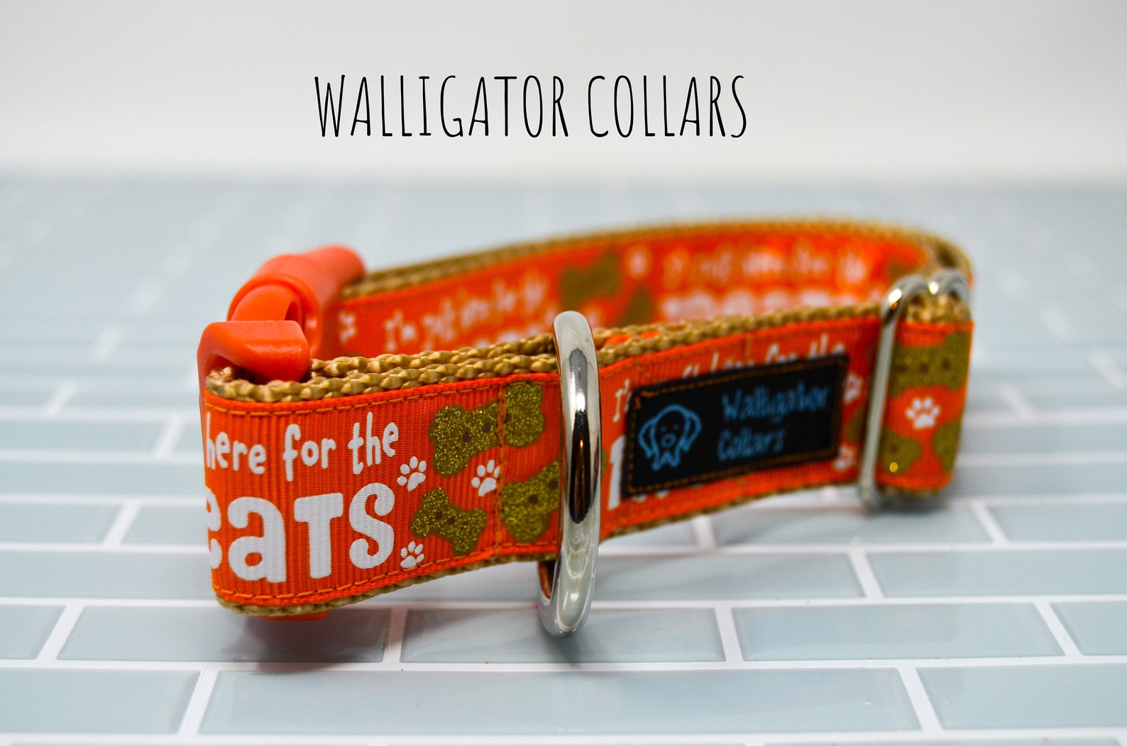 The in It for Treats Collars Etsy