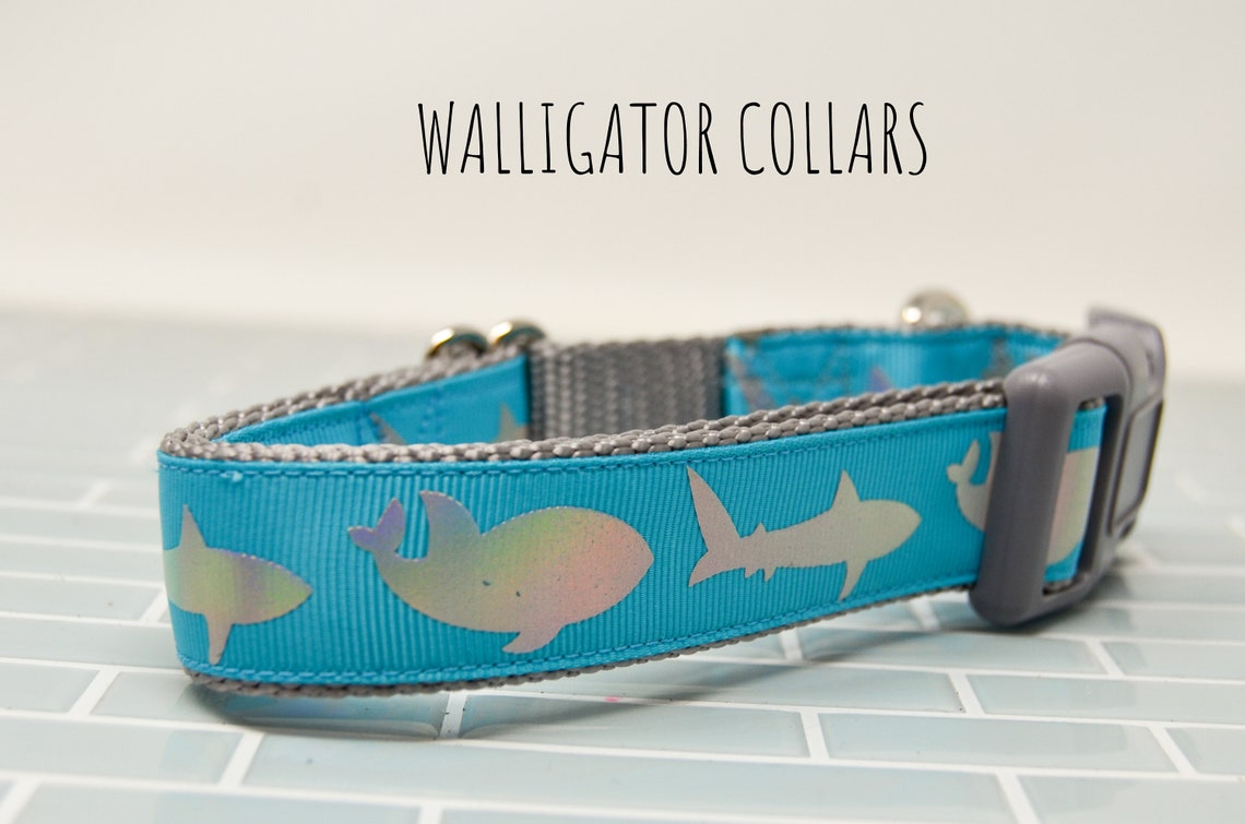 The Holographic Shark Collars Etsy
