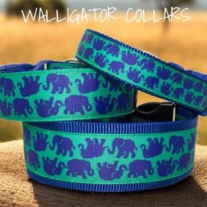 The Green and Blue Elephant  collars