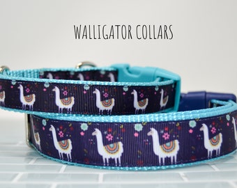 The Scout collars