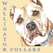 WalligatorCollars