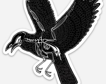 May include: Black and white illustration of a crow skeleton with its wings spread out. The crow is in flight and its bones are visible.